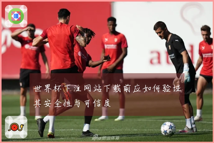 世界杯下注网站下载前应如何验证其安全性与可信度
