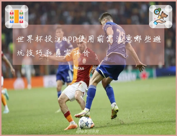 世界杯投注app使用前需注意哪些避坑技巧和真实评价