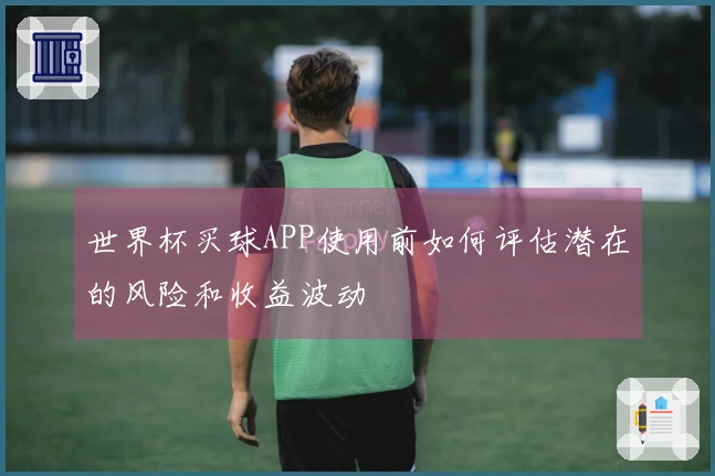 世界杯买球APP使用前如何评估潜在的风险和收益波动