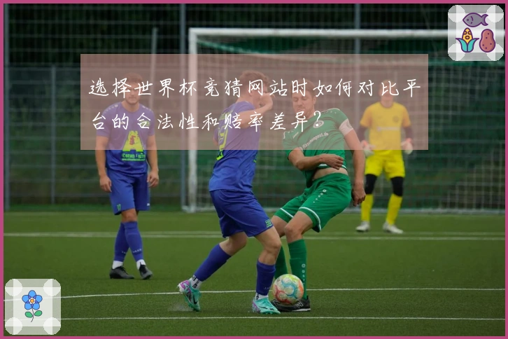 选择世界杯竞猜网站时如何对比平台的合法性和赔率差异？