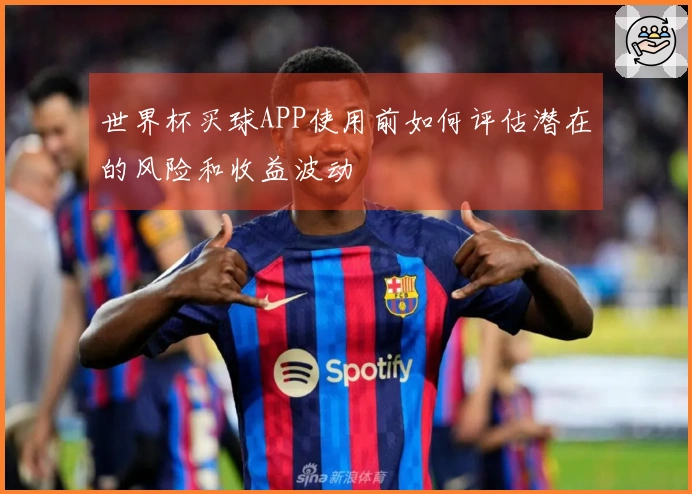 世界杯买球APP使用前如何评估潜在的风险和收益波动