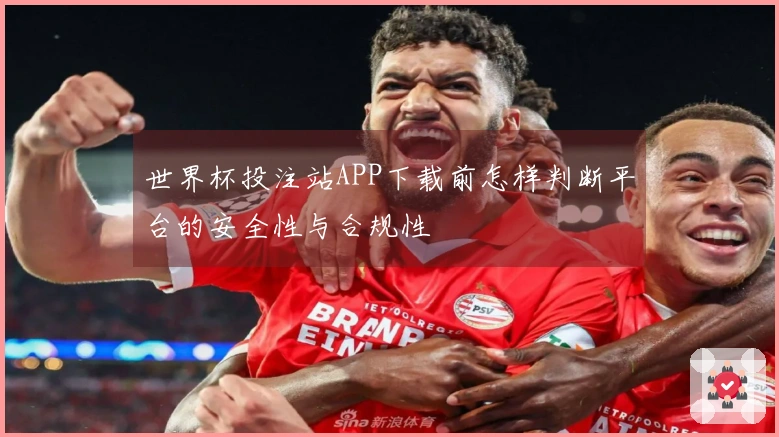 世界杯投注站APP下载前怎样判断平台的安全性与合规性