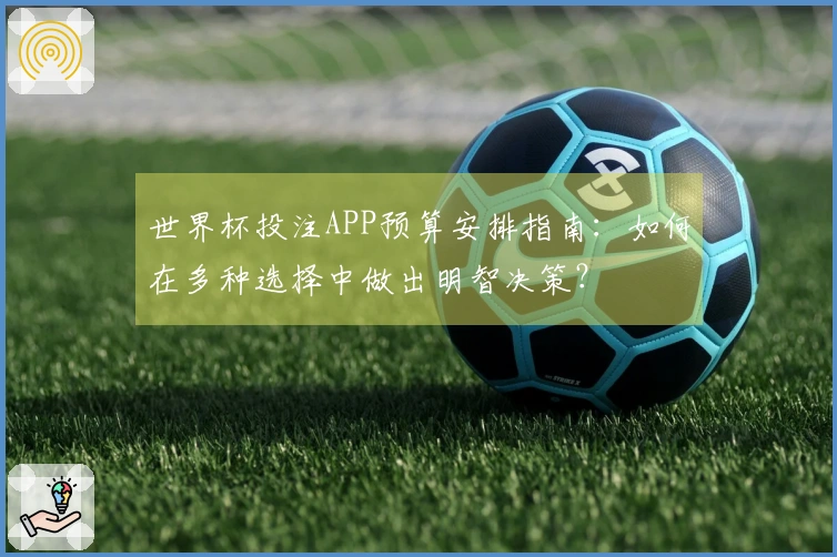 世界杯投注APP预算安排指南：如何在多种选择中做出明智决策？