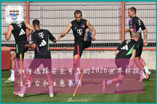 如何选择安全可靠的2026世界杯投注平台和注意事项
