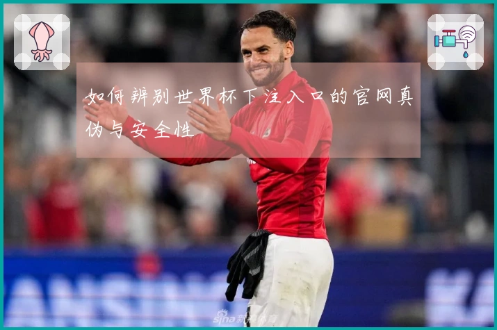 如何辨别世界杯下注入口的官网真伪与安全性