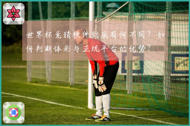 世界杯竞猜软件到底有何不同？如何判断体彩与正规平台的优势？
