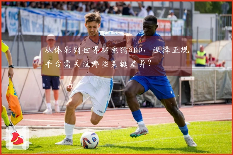 从体彩到世界杯竞猜app,选择正规平台需关注哪些关键差异?