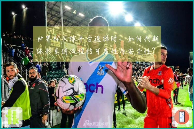 世界杯买球平台选择时，如何判断体彩竞猜流程的可靠性与安全性？