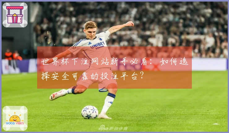 世界杯下注网站新手必看：如何选择安全可靠的投注平台？