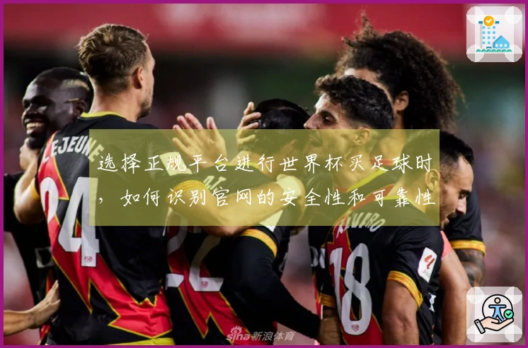 选择正规平台进行世界杯买足球时，如何识别官网的安全性和可靠性？