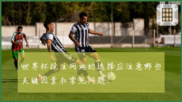 世界杯投注网站的选择应注意哪些关键因素和常见问题？