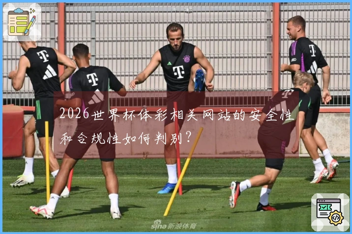 2026世界杯体彩相关网站的安全性和合规性如何判别？