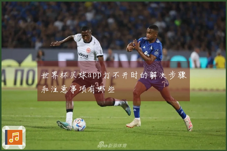 世界杯买球app打不开时的解决步骤和注意事项有哪些