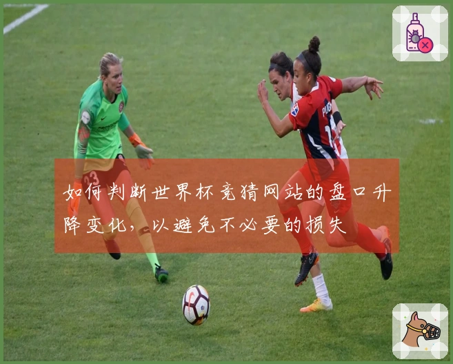 如何判断世界杯竞猜网站的盘口升降变化，以避免不必要的损失