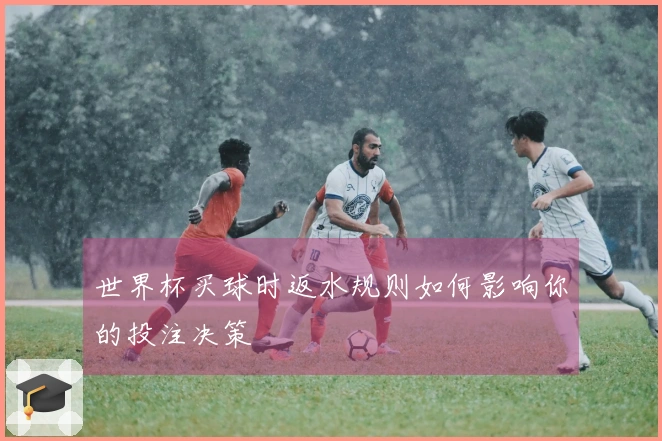 世界杯买球时返水规则如何影响你的投注决策