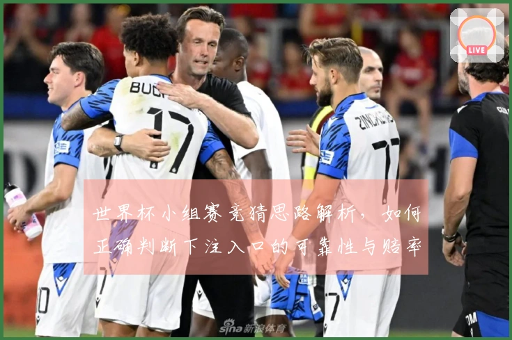 世界杯小组赛竞猜思路解析，如何正确判断下注入口的可靠性与赔率变化