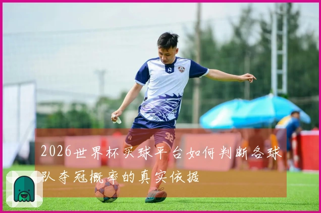2026世界杯买球平台如何判断各球队夺冠概率的真实依据
