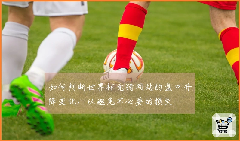 如何判断世界杯竞猜网站的盘口升降变化，以避免不必要的损失