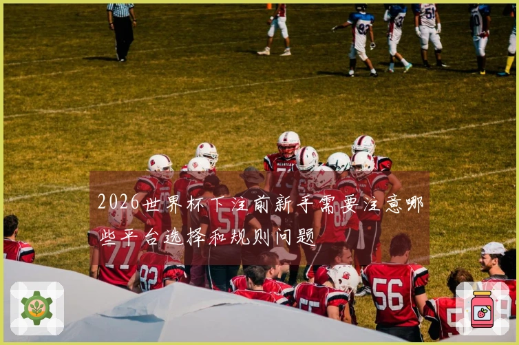 2026世界杯下注前新手需要注意哪些平台选择和规则问题