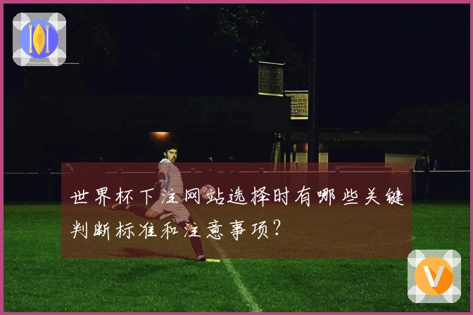 世界杯下注网站选择时有哪些关键判断标准和注意事项？