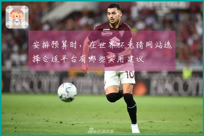 安排预算时，在世界杯竞猜网站选择合适平台有哪些实用建议