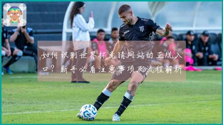 如何识别世界杯竞猜网站的正规入口?新手必看注意事项及流程解析