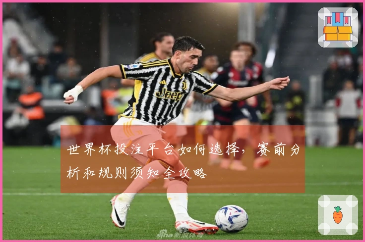 世界杯投注平台如何选择，赛前分析和规则须知全攻略