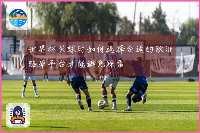 世界杯买球时如何选择合适的欧洲赔率平台才能避免踩雷