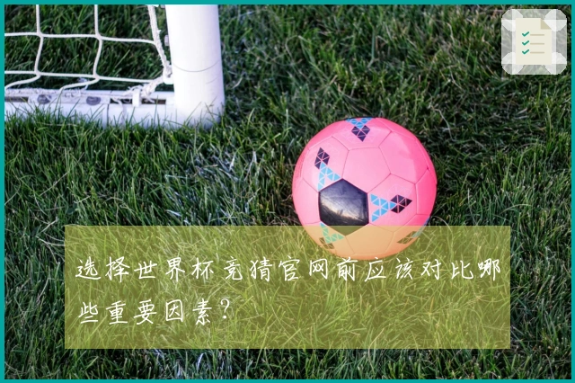 选择世界杯竞猜官网前应该对比哪些重要因素？