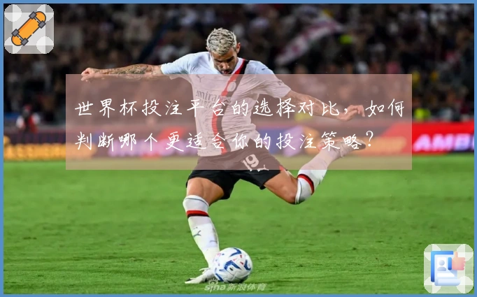 世界杯投注平台的选择对比，如何判断哪个更适合你的投注策略？