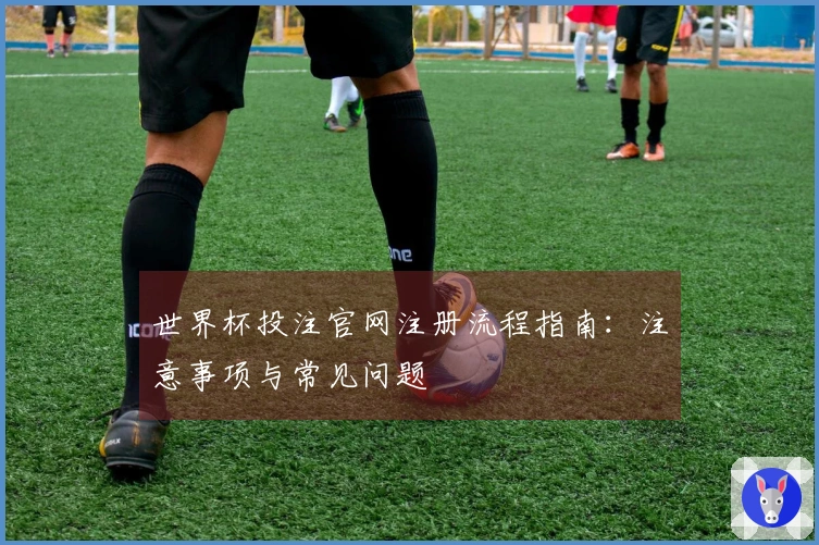 世界杯投注官网注册流程指南：注意事项与常见问题