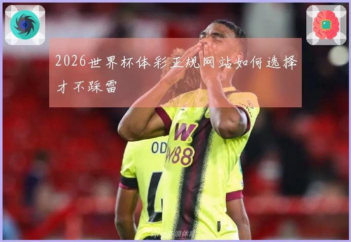 2026世界杯体彩正规网站如何选择才不踩雷