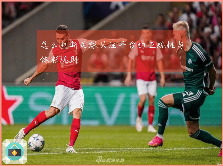 怎么判断足球买注平台的正规性与体彩规则
