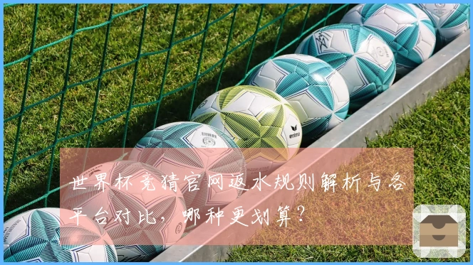 世界杯竞猜官网返水规则解析与各平台对比，哪种更划算？
