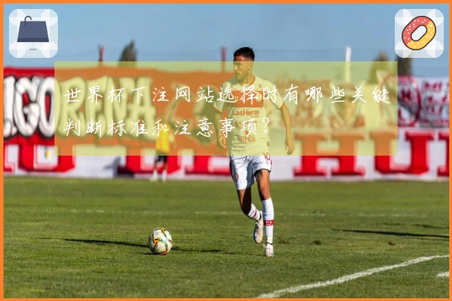 世界杯下注网站选择时有哪些关键判断标准和注意事项？