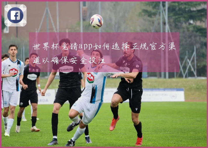 世界杯竞猜app如何选择正规官方渠道以确保安全投注