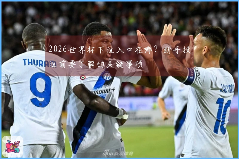 2026世界杯下注入口在哪？新手投注前要了解的关键事项