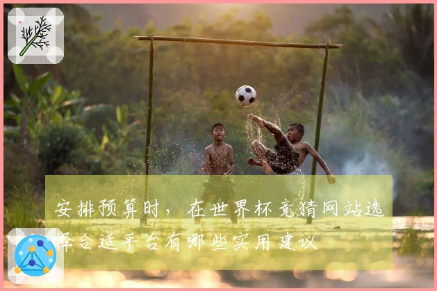 安排预算时，在世界杯竞猜网站选择合适平台有哪些实用建议